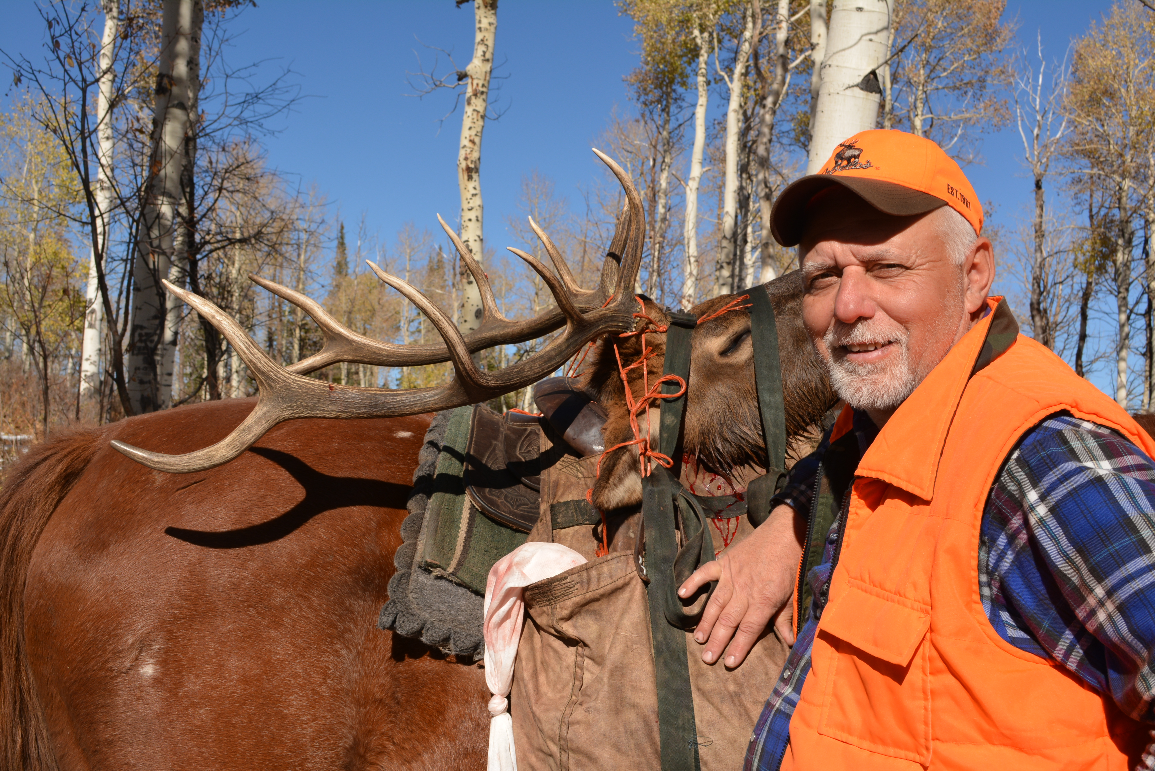 CO Rifle Elk 2013 183