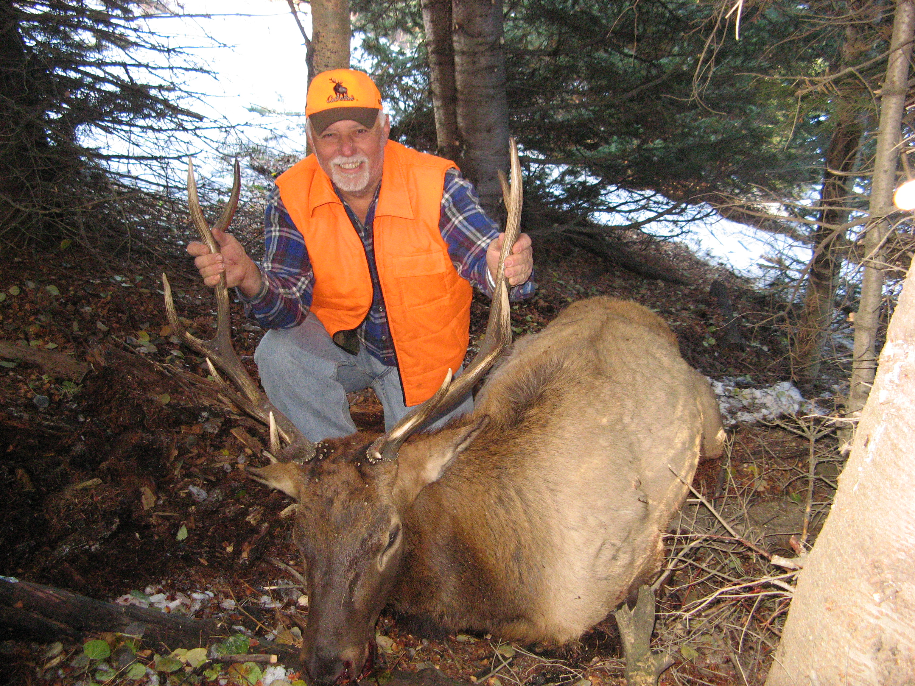 Elk2013.bow 117