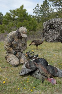 Showing respect for the animal harvested is a learned behavior and turkey hunting often provides examples of game for the table.