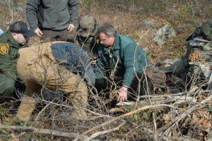 Finally, the cubs are returned to the den and the sow get a carpet ride back into the den where she will awake and wonder how her brood got matching ear tags.