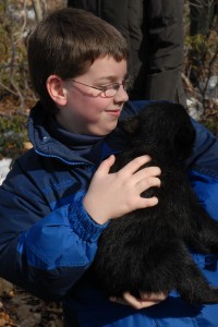 Each cub is weighed as well and then the fun begins as person after person gets a few moments to hold a cub. The little creatures are very hug-able, yet can scratch with claws that are already hard. Apparently, human scent left on the cubs has no effect on the mother.