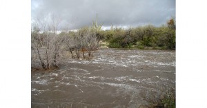 flood