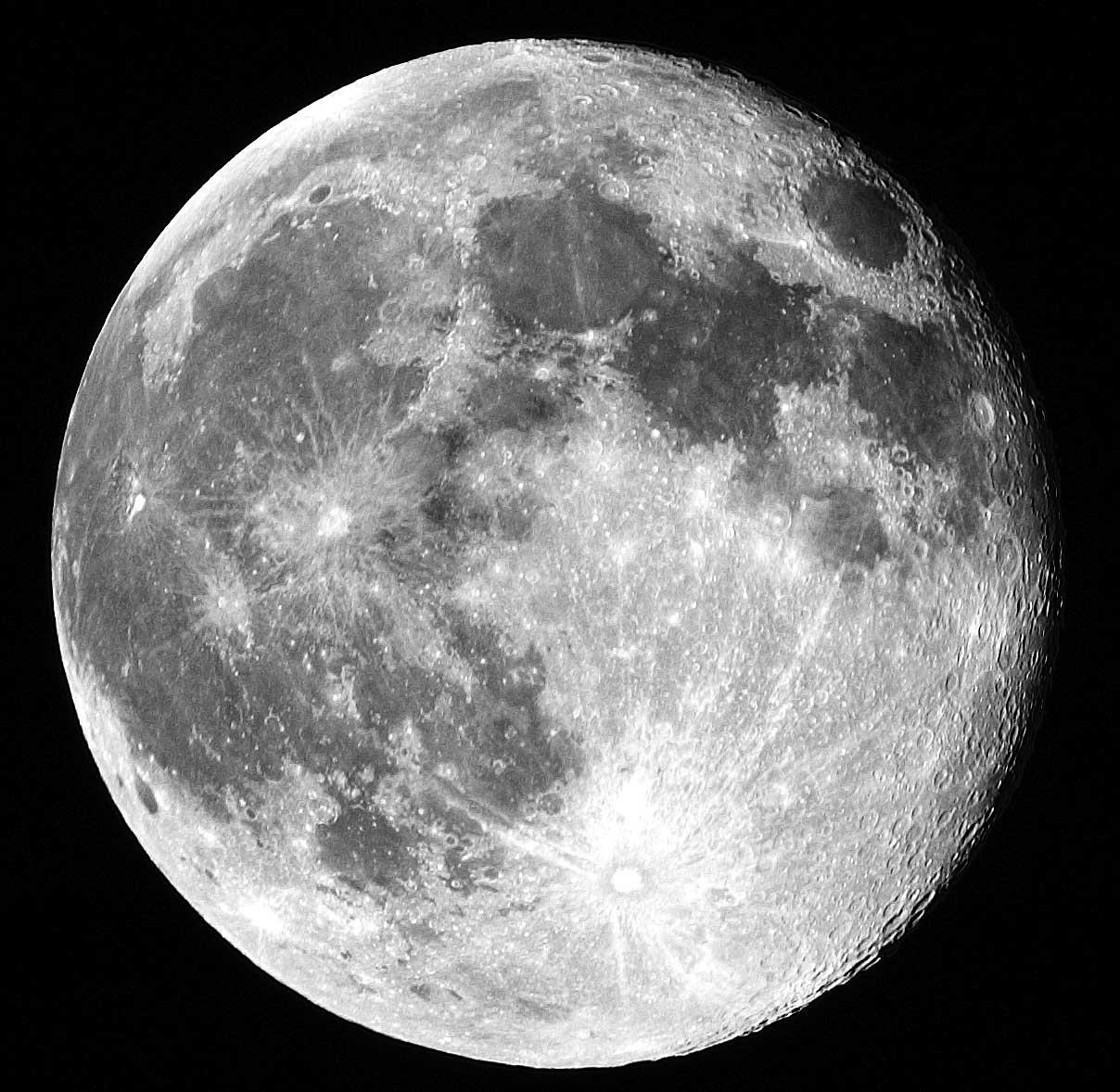 does-the-moon-affect-deer-movement-the-hunting-page