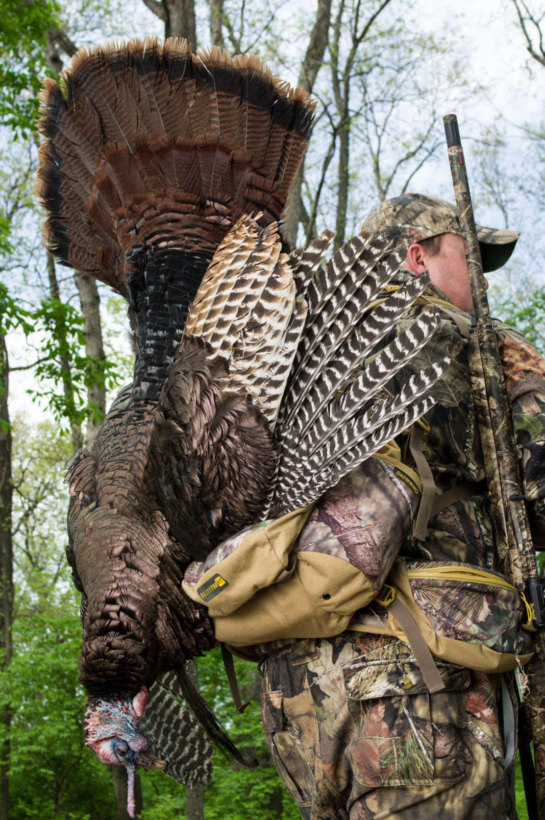 How To Fill Your Turkey Tag This Fall — The Hunting Page