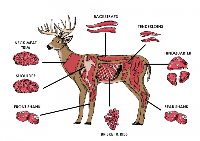 Butcher Your Big Game Like a Boss — The Hunting page
