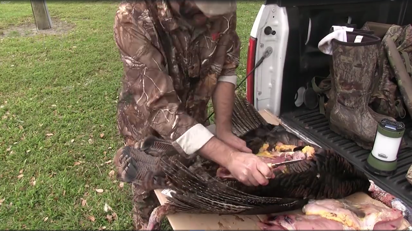 how-to-clean-a-wild-turkey-video-the-hunting-page