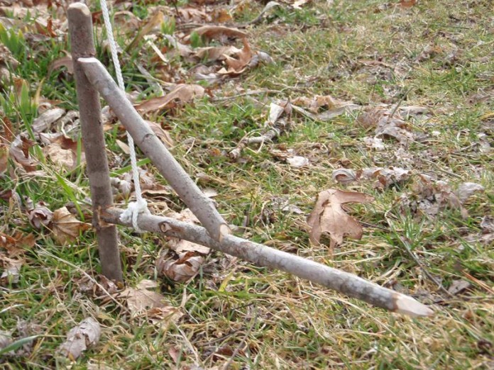 The 15 Best Survival Traps Griffin's Guide to Hunting and Fishing