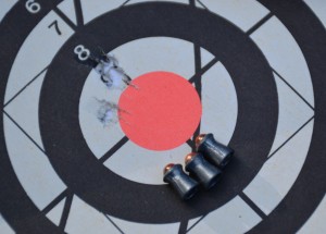 Gamo pellet guns are quiet enough to shoot in your back yard, garage or basement. and pellets are much less expensive than .22 LR ammo.