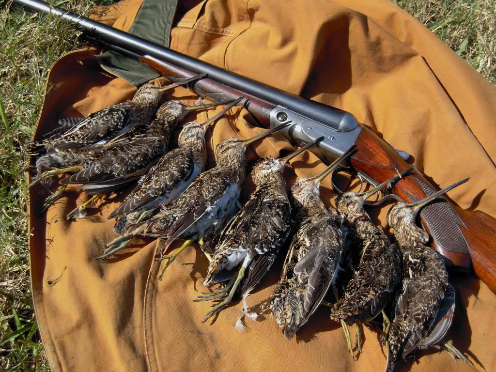 Snipe Hunting Is Real [VIDEO] — The Hunting page